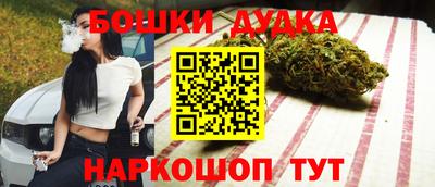 хмурый Кингисепп