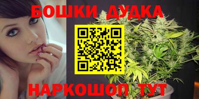 гашик Кимры