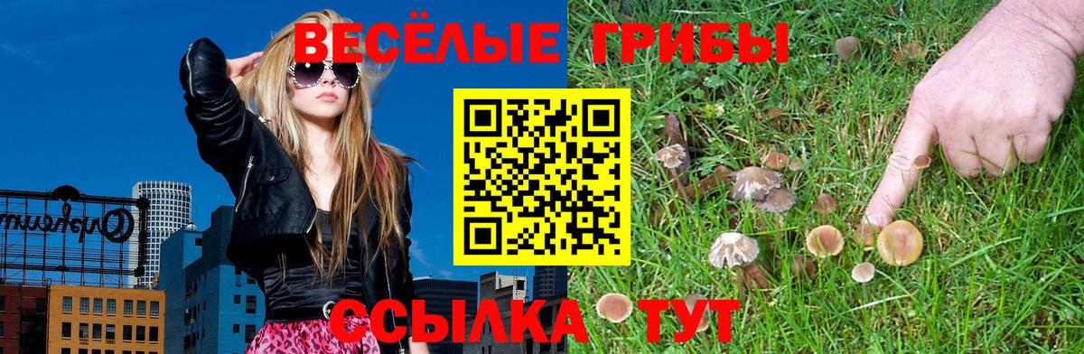 Псилоцибиновые грибы прущие грибы Конаково