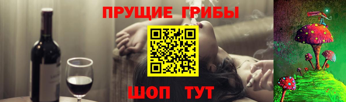 Галлюциногенные грибы Psilocybine cubensis  купить   Конаково  Вход с VPN  Псилоцибиновые грибы Cubensis 