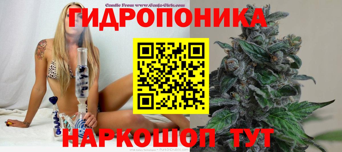 МАРИХУАНА план Конаково