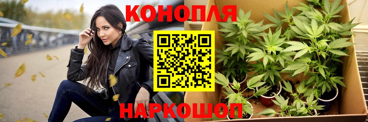 Канабис индика  Вход с VPN  Конаково  Конопля конопля  Конопля White Widow 